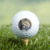 Tiger Golfball (Insitu T-Shirt)