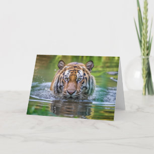 Tiger Greeting Card Karte