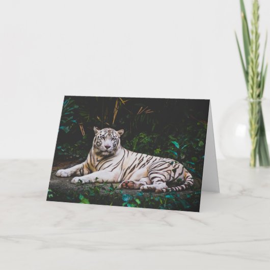 Tiger Greeting Card Karte (Vorderseite)