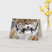Tiger Greeting Card Karte (Gelbe Blume)