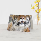 Tiger Greeting Card Karte (Gelbe Blume)