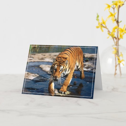 Tiger Greeting Card Karte (Gelbe Blume)