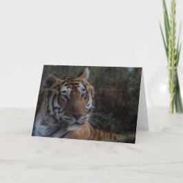 Tiger Greeting Karte Tiger Glückwunsch