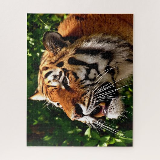 Tiger-große Katzen Puzzle (Vertikal)