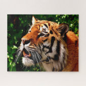 Tiger-große Katzen Puzzle (Horizontal)