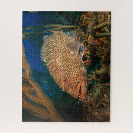 Tiger Grouper Underwater Jigsaw Puzzle (Vertikal)