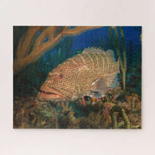 Tiger Grouper Underwater Jigsaw Puzzle