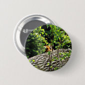 Tiger-Guck-guck-Knopf Button (Vorne & Hinten)