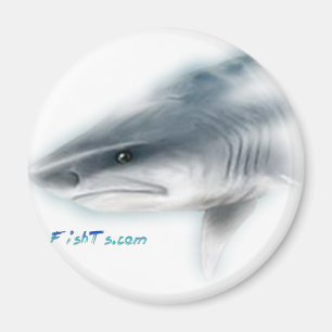 Tiger-Haifisch-Kopf Magnet