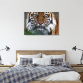 Tiger Head and Face Leinwanddruck (Insitu (Schlafzimmer))