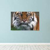 Tiger Head and Face Leinwanddruck (Insitu (Holzboden))