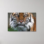 Tiger Head and Face Leinwanddruck (Vorderseite)