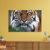 Tiger Head and Face Leinwanddruck (Insitu (Wohnzimmer))