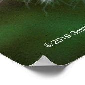 Tiger Head and Face Poster (Ecke)