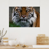 Tiger Head and Face Poster (Küche)