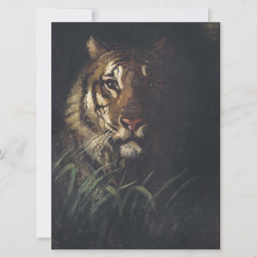 Tiger Head (von Abott Handerson Thayer) Karte (Vorderseite)