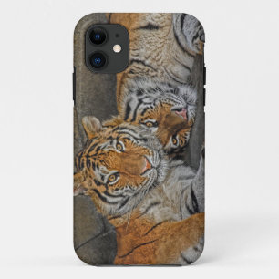Tiger-Höhle Case-Mate iPhone Hülle
