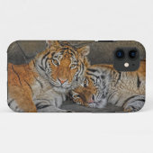 Tiger-Höhle Case-Mate iPhone Hülle (Rückseite (Horizontal))