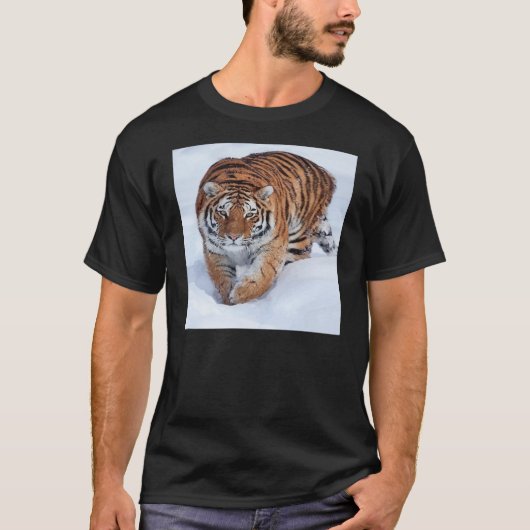 Tiger im Eis-Shirt T-Shirt (Vorderseite)