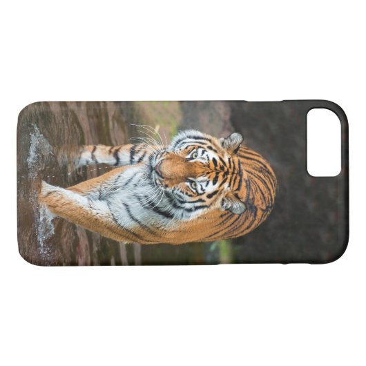 Tiger im Fluss Case-Mate iPhone Hülle (Rückseite (Horizontal))