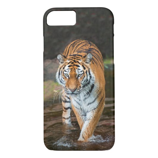 Tiger im Fluss Case-Mate iPhone Hülle (Rückseite)