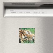 Tiger im Gras liegen Magnet (In Situ (Geschirrspüler))