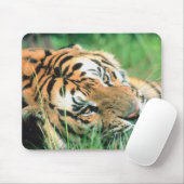 Tiger im Gras liegen Mousepad (Mit Mouse)