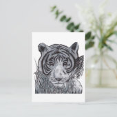 Tiger im Gras Postkarte (Stehend Vorderseite)