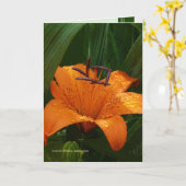 Tiger im Grün Karte (Gelbe Blume)