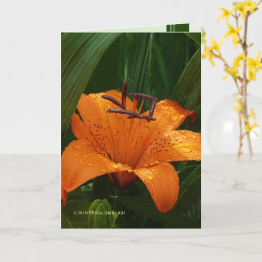 Tiger im Grün Karte (Gelbe Blume)