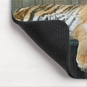 Tiger im Käfig im Zoo Mousepad (Ecke)