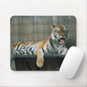 Tiger im Käfig im Zoo Mousepad (Mit Mouse)