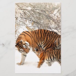 Tiger im Schnee
