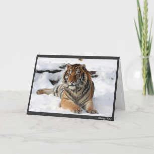 Tiger im Schnee Karte