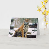 Tiger im Schnee Karte (Gelbe Blume)
