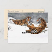 Tiger im Schnee, klassische chinesische Kunst Postkarte (Vorne/Hinten)