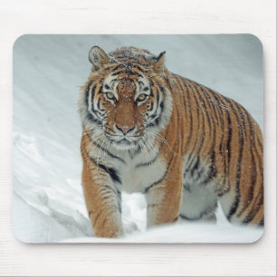 Tiger im Schnee Mousepad