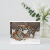 Tiger im Schnee Postkarte (Stehend Vorderseite)