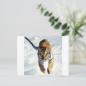 Tiger im Schnee Postkarte (Stehend Vorderseite)