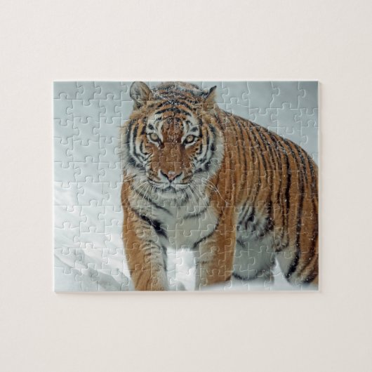 Tiger im Schnee Puzzle (Horizontal)