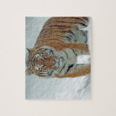 Tiger im Schnee Puzzle (Vertikal)