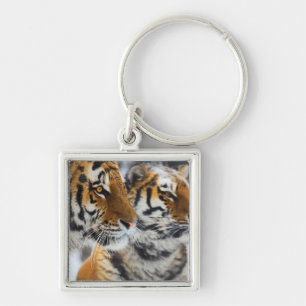 Tiger im Schnee Schlüsselanhänger