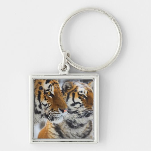 Tiger im Schnee Schlüsselanhänger (Vorne)