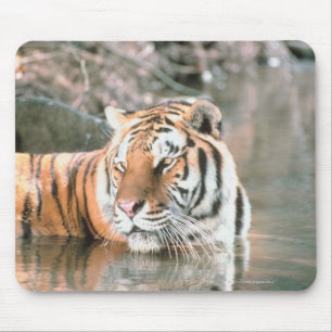 Tiger im Strom Mousepad