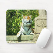 Tiger im Tempel Mousepad (Mit Mouse)