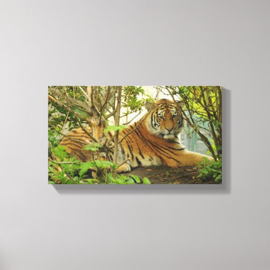 Tiger im Wald Leinwanddruck (Vorderseite)