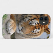 Tiger im Wasser Case-Mate iPhone Hülle (Rückseite (Horizontal))