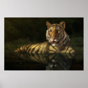 Tiger im Wasser Digitale Malerei Poster