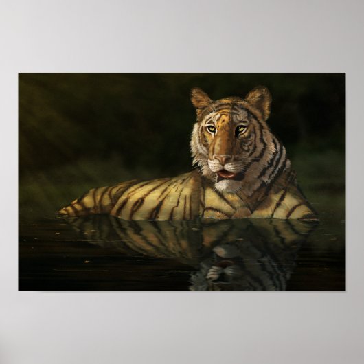 Tiger im Wasser Digitale Malerei Poster (Vorne)