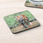 Tiger im Wasser Getränkeuntersetzer (Linke Seite)